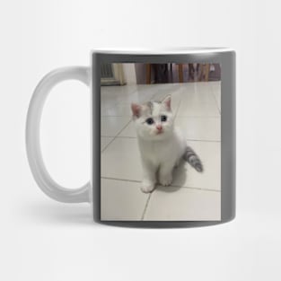 The little cute white cats Mug